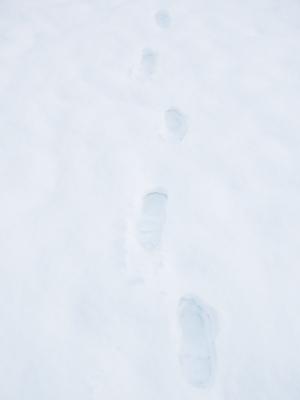 痕迹, 脚印, 雪, 雪流浪汉, 冬天, 低温, 自然
