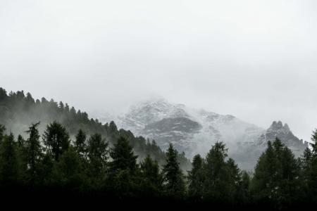 景观, 摄影, 白雪皑皑, 山脉, 绿色, 高, 树木