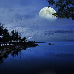 月亮, 海, 蓝色, 海洋, 自然, 水, 景观