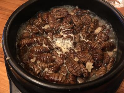 蚕, 韩国食品, 昆虫, 食品