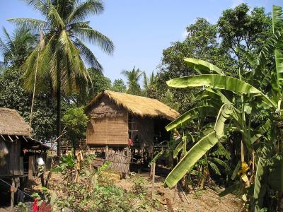 柬埔寨, 小屋, 棕榈树, 本地, 生活, 东南, 亚洲