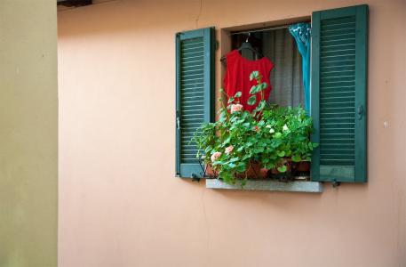 窗口, 花, 意大利, 艺术, 房子, 设计