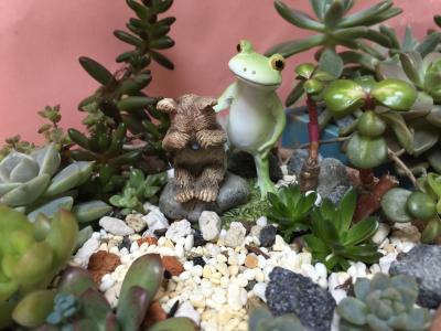 青蛙, 植物, 小熊