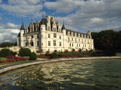 chenonceau, 城堡, 花园, 法国