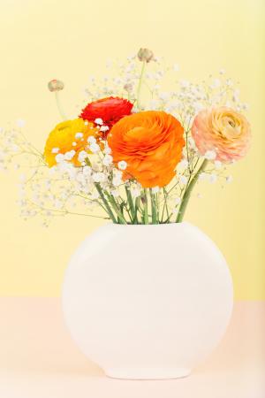 花, 花瓶, 毛茛, 花束, 橙色, 春天, 绽放