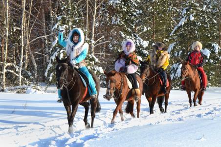 疯了, 雪, 俄罗斯, 冬天, 感冒, 骑马, 妇女
