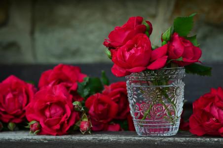 红色, 玫瑰, 清除, 玻璃, 花瓶, 美, 花