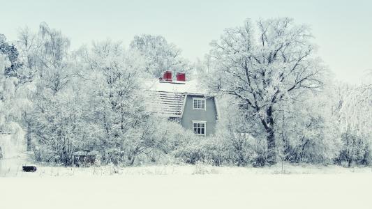 芬兰, 雪, 冬天, 森林, 自然, 天空, 白色