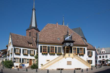 deidesheim, 大会堂, 普法尔茨, 酒村庄