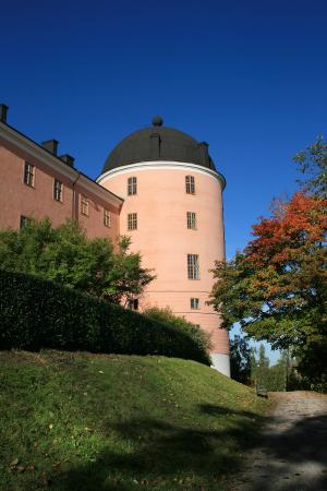 乌普萨拉城堡, 乌普萨拉, 城堡, 粉色, 汉密尔, 秋天, 瑞典