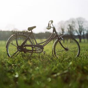 自行车, 自行车, 字段, 草, 户外, 辐条