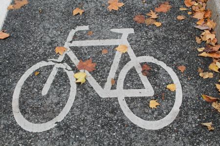 自行车路径, 自行车, 秋天, 循环路径, 骑自行车的人, 车轮, 骑自行车