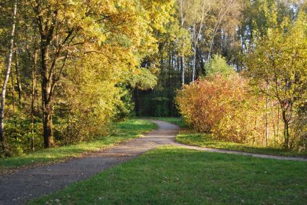 公园, 树, 秋天, 叶子, 黄色, 橙色, 10 月