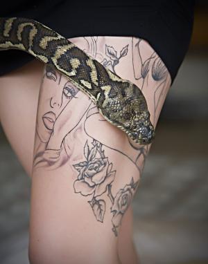 纹身, 蛇, python, 宠物蛇, pythoninae, 动物