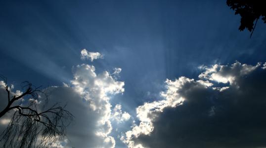 云彩, 云计算, 光线, 乌云, 深蓝的天空, 树枝剪影