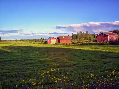 农村, 芬兰语, 夏季, 绿色, 阳光明媚, 云彩, 天空