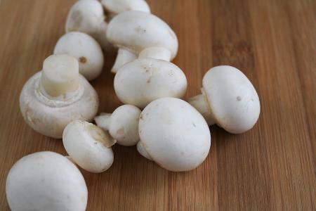蘑菇, 蘑菇, 白蘑菇