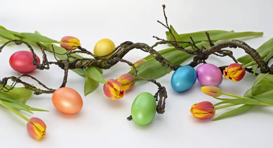 鸡蛋, 颜色, 煮熟, 复活节, 装饰, 郁金香, 花