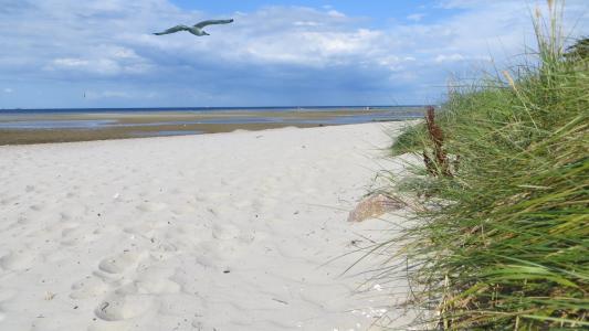 海岸, 沙子, 假日, 美丽, 波罗地海, 海, 云彩