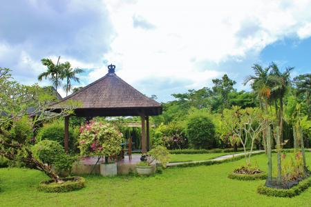 巴厘岛, 兰花园, 植物区系, 热带, 岛屿, 印度尼西亚