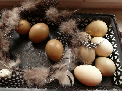 复活节, 复活节彩蛋, 装饰, 鸡蛋, 复活节的巢