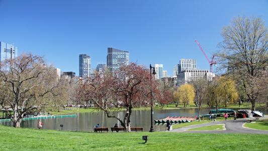 公共花园, 波士顿, 公园, 常见, 具有里程碑意义