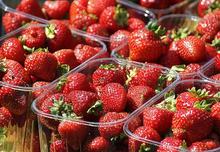 草莓, 水果, 成熟的, 的集合, 农业, 栽培的, 新鲜
