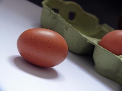 鸡蛋, 鸡蛋纸箱, 鸡蛋, 食品, 蛋盒, 棕色的鸡蛋, 鸡蛋销售包装