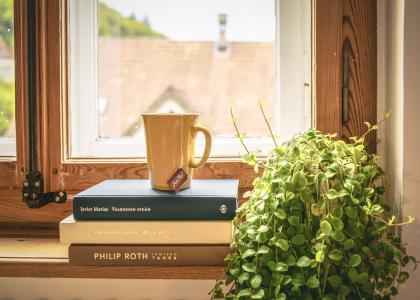 书, 阅读, 三通, 文学, 窗台, 室内盆栽植物, 年份