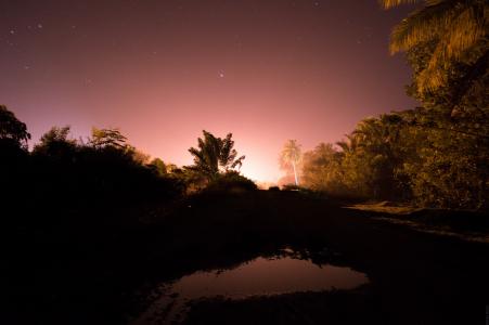 夜晚的天空, 灯, 晚上, 橙色, 长时间曝光, 棕榈树, 星星