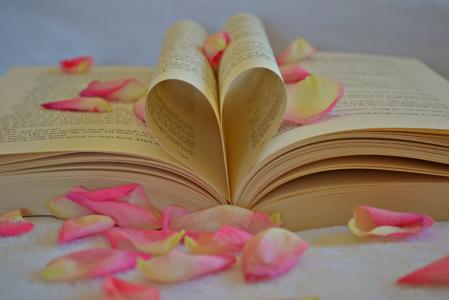 书, 心, 的心脏, 浪漫, 浪漫, 情人节, 心的形状