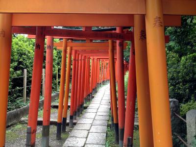 日本, 东京, 上野, 靖国神社, 鸟居, 根神社, 建设
