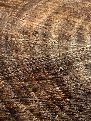 木材, 老木, 树干, 纹理, 斑纹木材