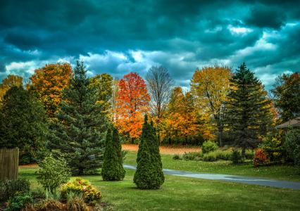 佛蒙特州, 叶子, 秋天, 秋天, 景观, 树木, 自然