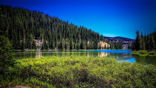 托德湖, 俄勒冈州, 景观, 风景名胜, 山脉, 森林, 树木