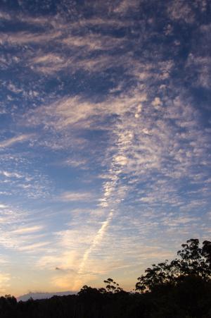 日落, 天空, 云彩, 粉色, 蓝色, 漂亮, 澳大利亚