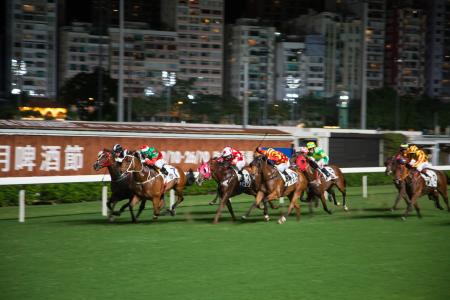 赛马, 香港, 马, 竞争, 驰骋