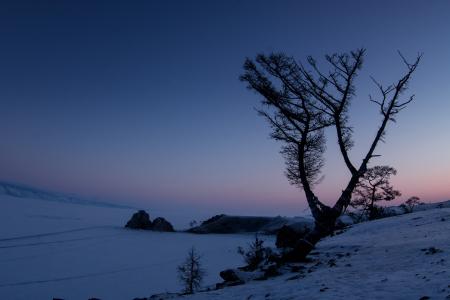 冬天, 晚上, 雪, 贝加尔湖