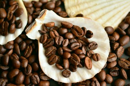 咖啡豆, 咖啡, 豆子, 咖啡因, 香气, 烤, 贻贝