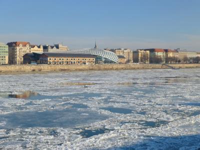 布达佩斯, 匈牙利, 多瑙河, 冰, 冬天, 感冒, 鲸鱼