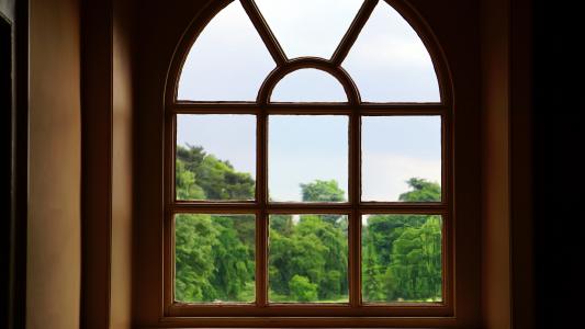 玻璃, 树木, 窗口, 室内, 透过窗口看, 建筑, 白天
