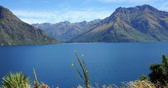 瓦卡蒂普湖, 新西兰, 南岛, 湖, 山脉, 景观, 山