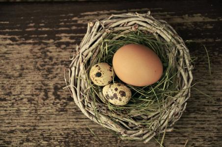 鸡蛋, 鸟巢, 复活节, 复活节的巢, 复活节装饰