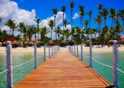 多米尼加共和国, 热带地区, 棕榈树, 棕榈树, 海, 海洋, 夏季