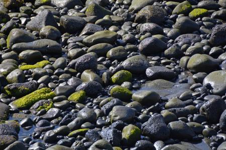 石头, 青苔, 水, 湿法, 自然, 海, 黑绿色