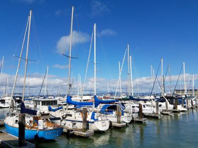 旧金山湾, 小船, 玛丽娜, 帆船, 港口, 码头, 帆