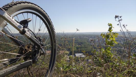 自行车, 成熟的, 山地自行车, 车轮, 辐条, 骑自行车, 自行车轮胎