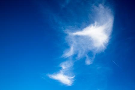 美丽的云彩, 云计算, 卷云, 美丽, 蓝色, 白色, cloudscape