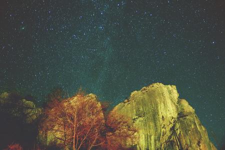 悬崖, 晚上, 照片, 星级, 树, 天文摄影, 夜晚的天空