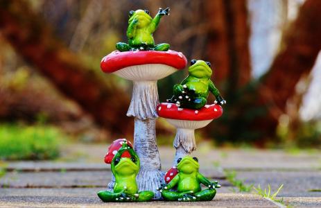 青蛙, 蘑菇, 飞金顶, 图, 有趣, 青蛙, 可爱